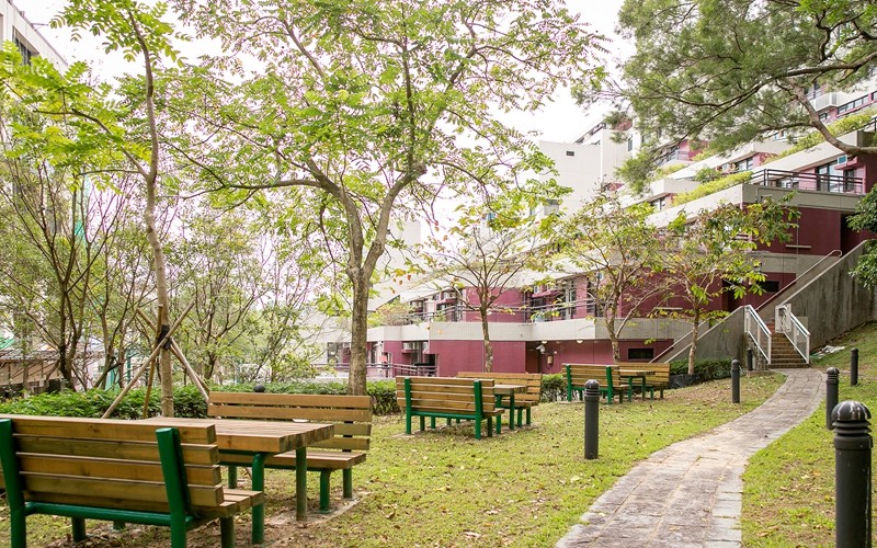 香港大学研究生对于GPA要求高吗？