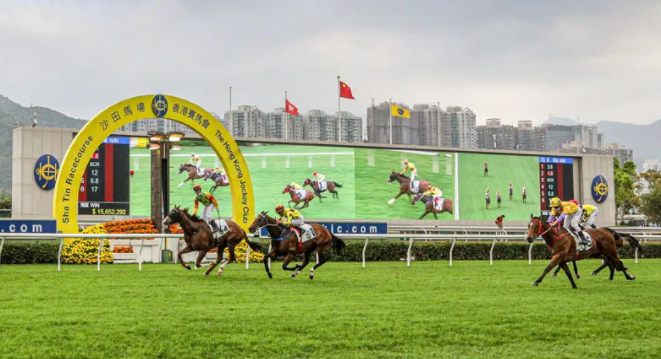香港赛马重新开放，展示赛马精神积累防疫经验