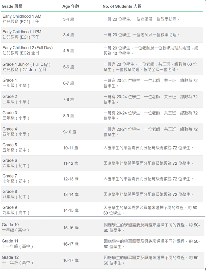 美国国际学校