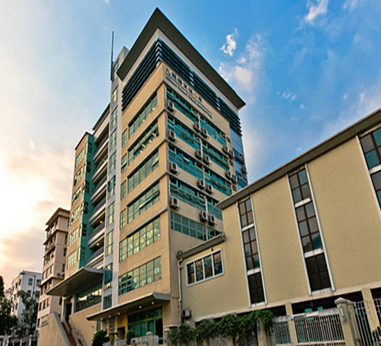 九龙塘宣道小学,香港插班,香港小学