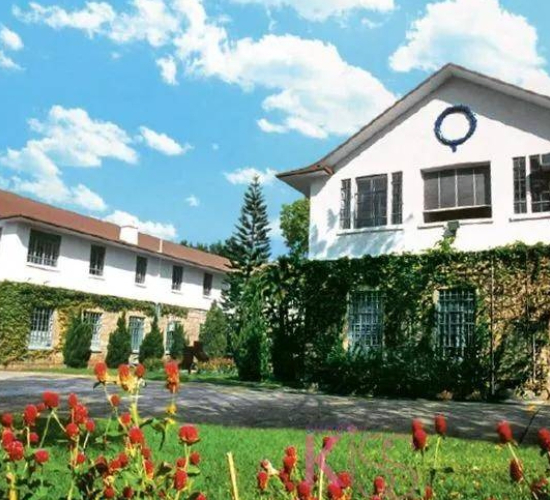 成功案例 | 美式一条龙！斩获香港美国国际学校Offer！