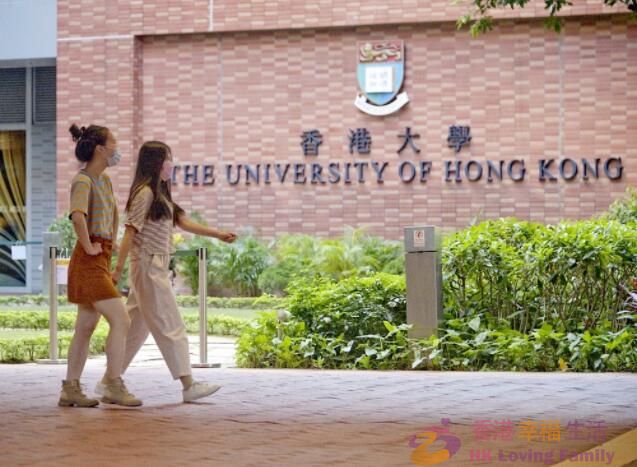 香港大学本科生部分专业官方解读