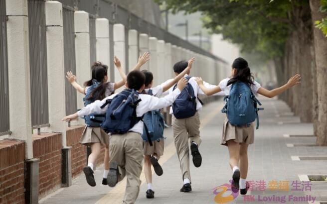 香港留学生能不能考公、考编？手把手教你如何筛选专业！