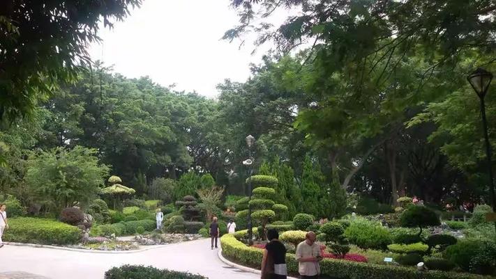 东华三院高德根纪念幼稚园