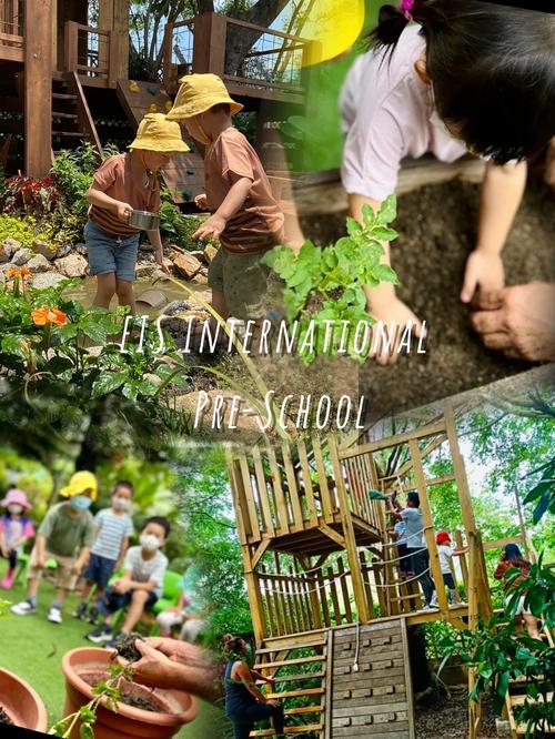 约克国际幼稚园(湿地)