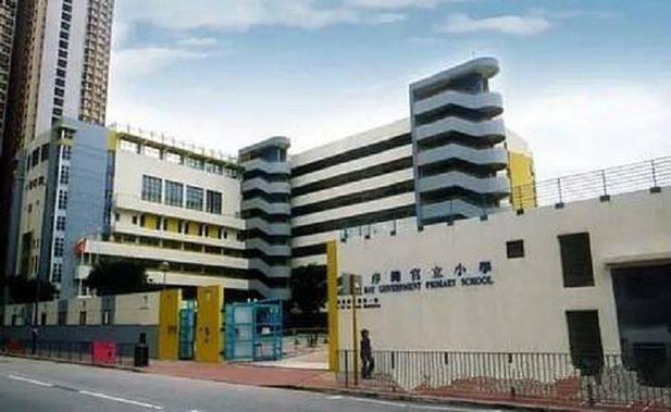 宝血小学