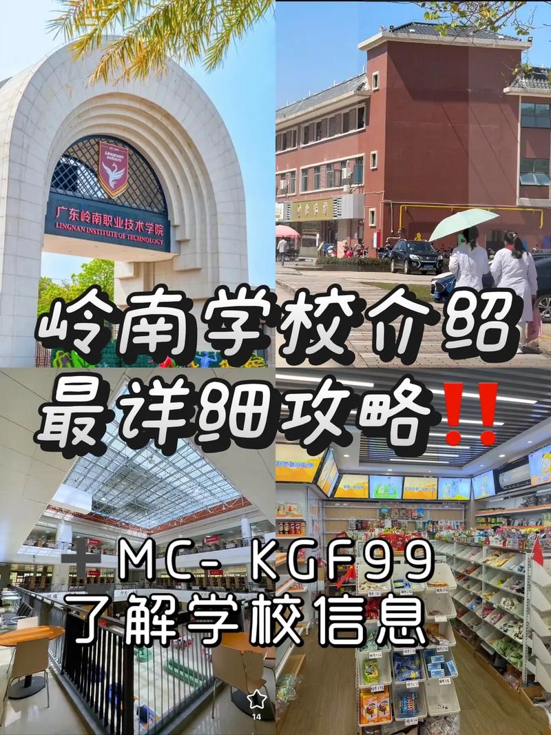 岭南中学收费