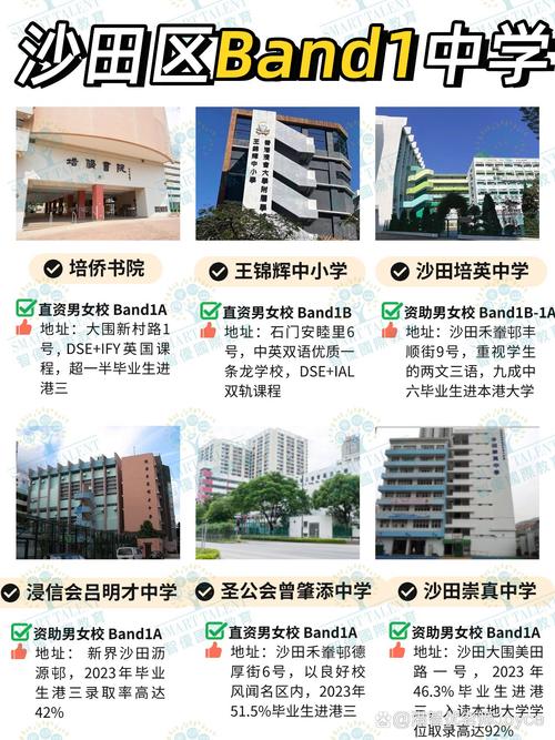 沙田官立中学收费