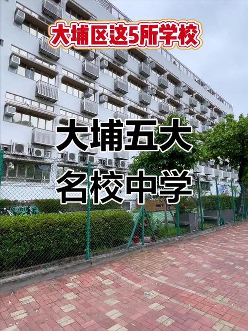 香港大埔区中学怎么选